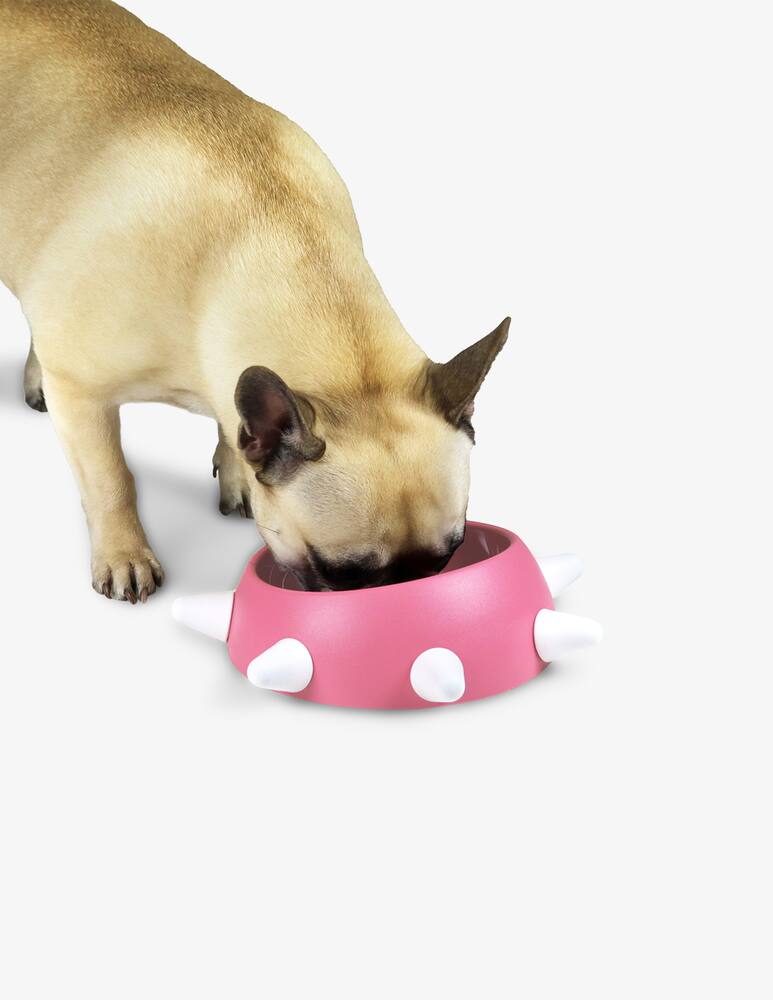 rinascente United Pets Ciotola Inclinata Boss