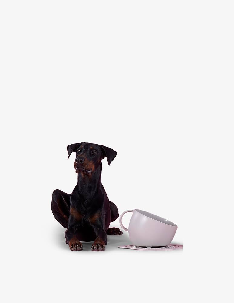 rinascente United Pets Plate - Tappetino Sottociotola