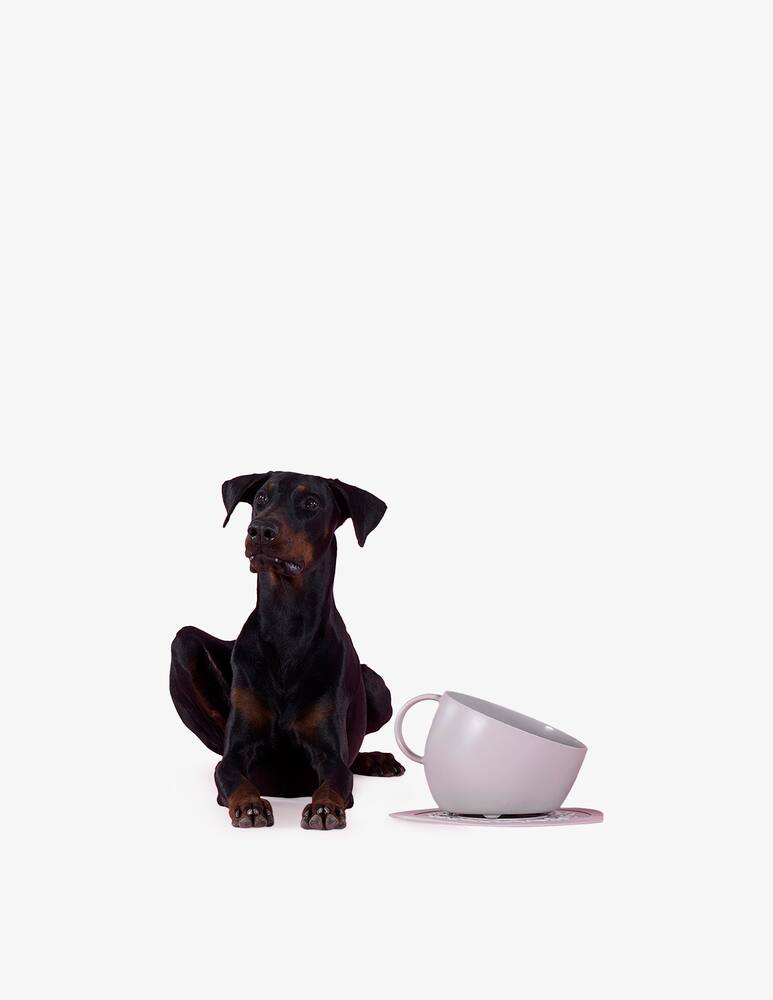 rinascente United Pets Cup - Ciotola Anti-Schizzo