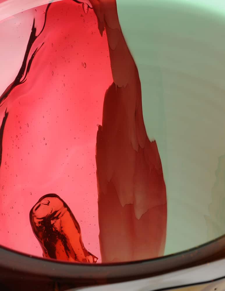 Fish Design Vaso Amazonia - immagine 6