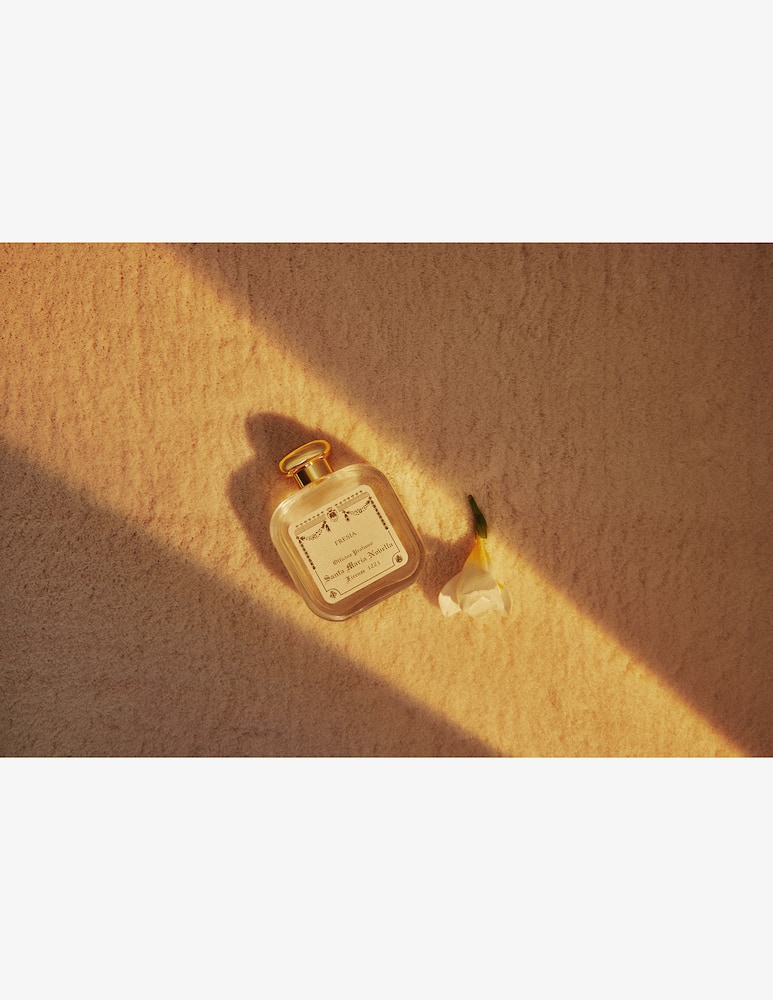 rinascente Santa Maria Novella Colonia Fresia Firenze 1221