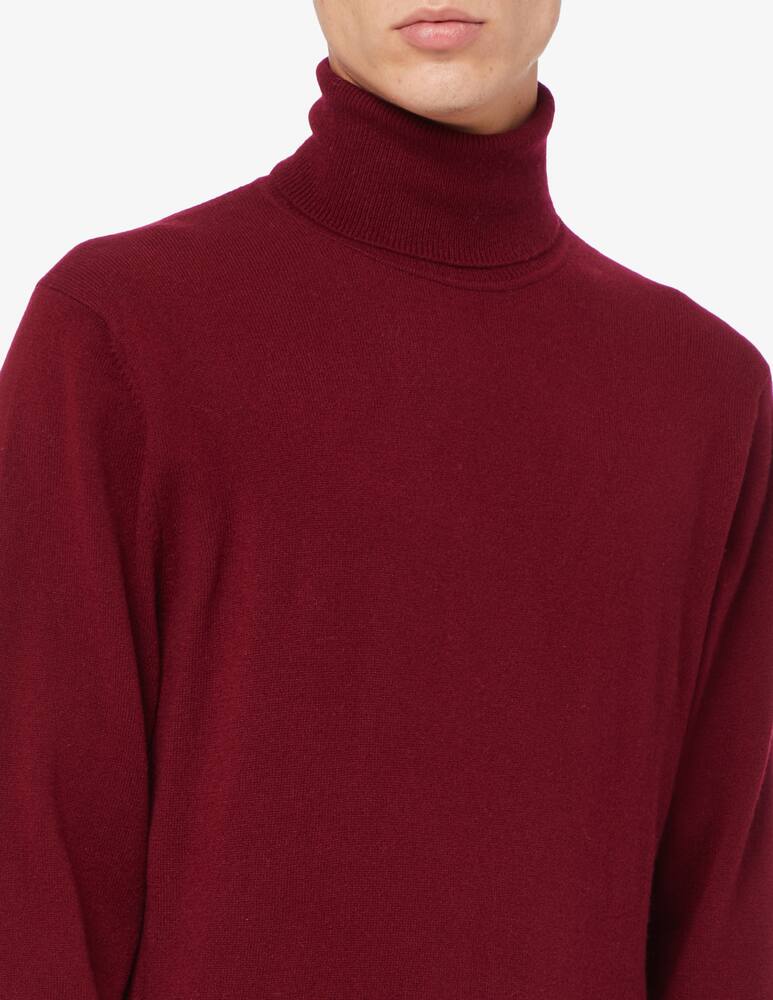 rinascente Pure Cashmere Cashmere turtleneck