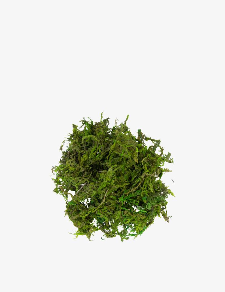rinascente Lemax Deco Moss Green 30 G General