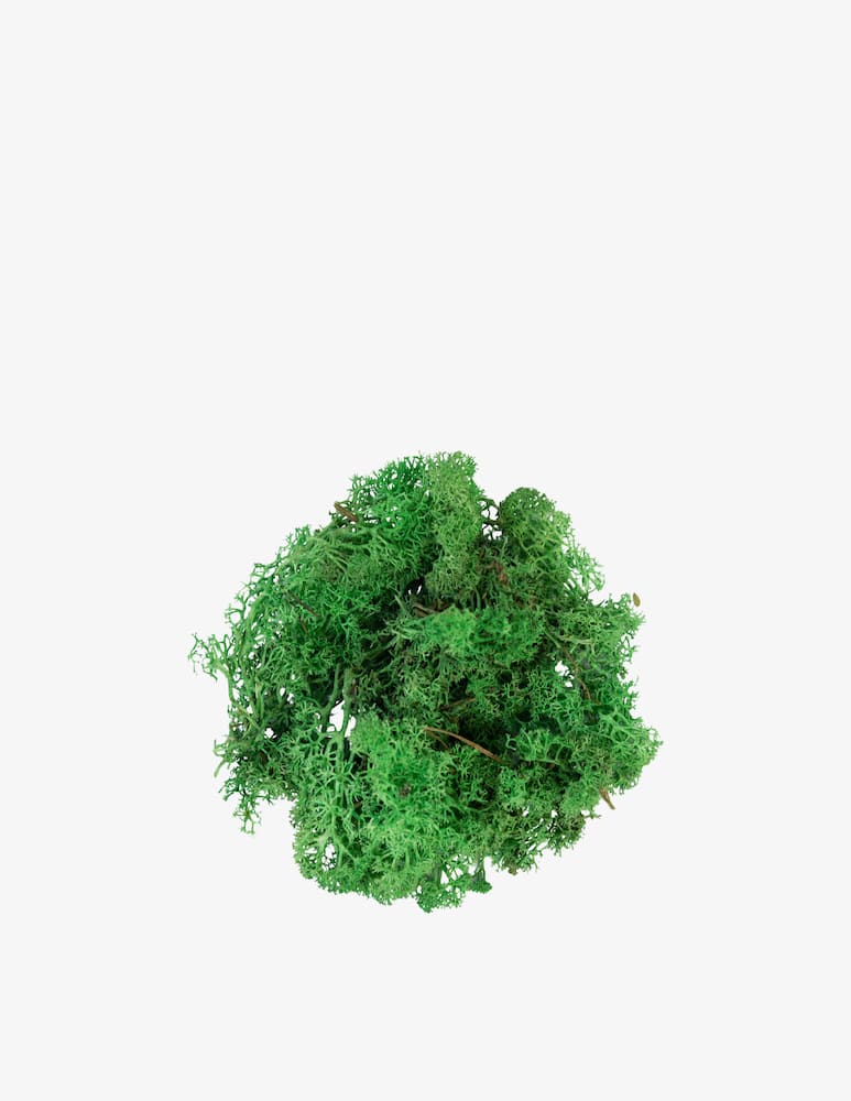 Lemax Reindeer moss green 50gr - picture 2 Lemax Reindeer moss green 50gr - picture 2