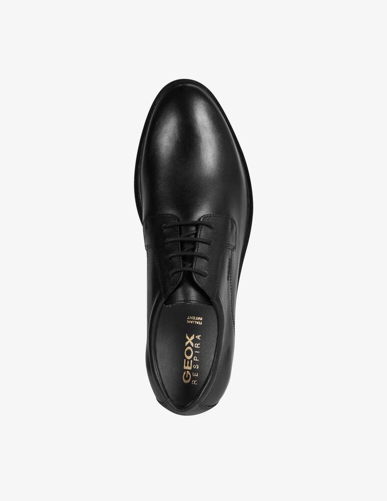 Geox Derby vitello liscio Gladwin - immagine 4 Geox Derby vitello liscio Gladwin - immagine 4