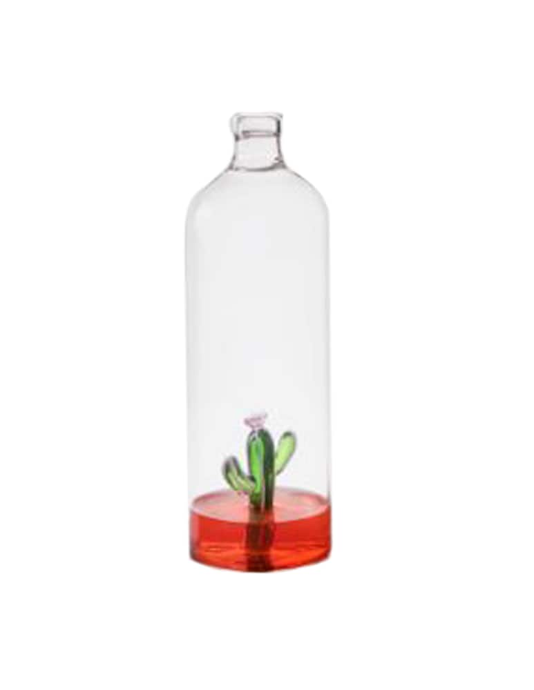 rinascente Ichendorf Desert Plants Bottle With Cactus