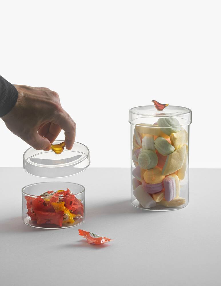 rinascente Ichendorf Birds Scatola Bassa Uccellino Ambra