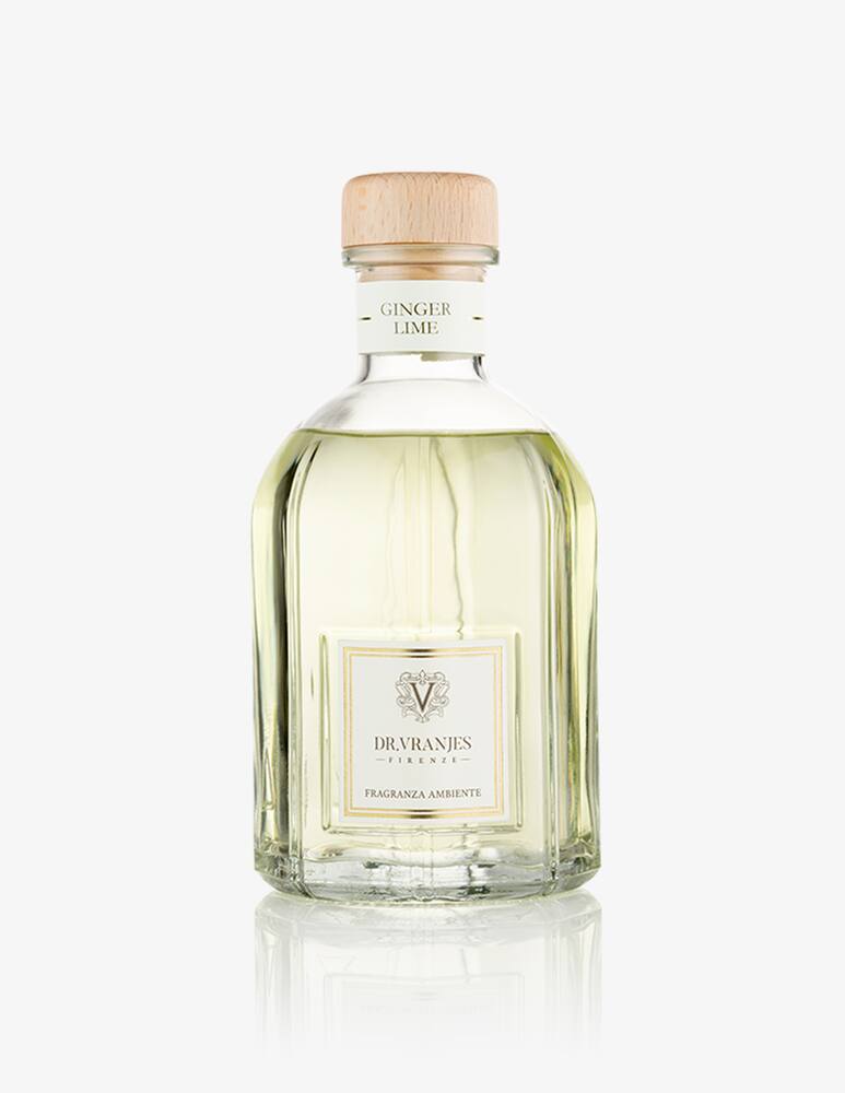 rinascente Dr Vranjes Ginger Lime 250 ml Diffusore con bastoncini