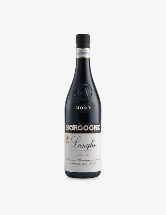 Borgogno - Langhe DOC Dolcetto Ancum 2024 750ml - €22,00