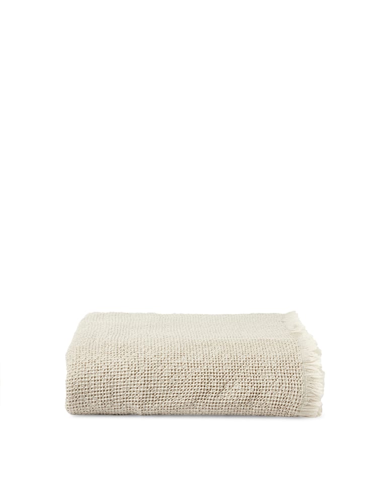Society Nid Coperta - immagine 1 Society Nid Coperta - immagine 1