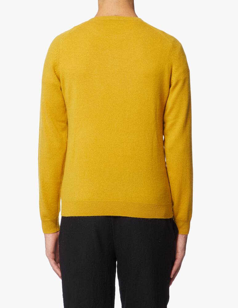 rinascente Pure Cashmere Roundneck jumper in cashmere