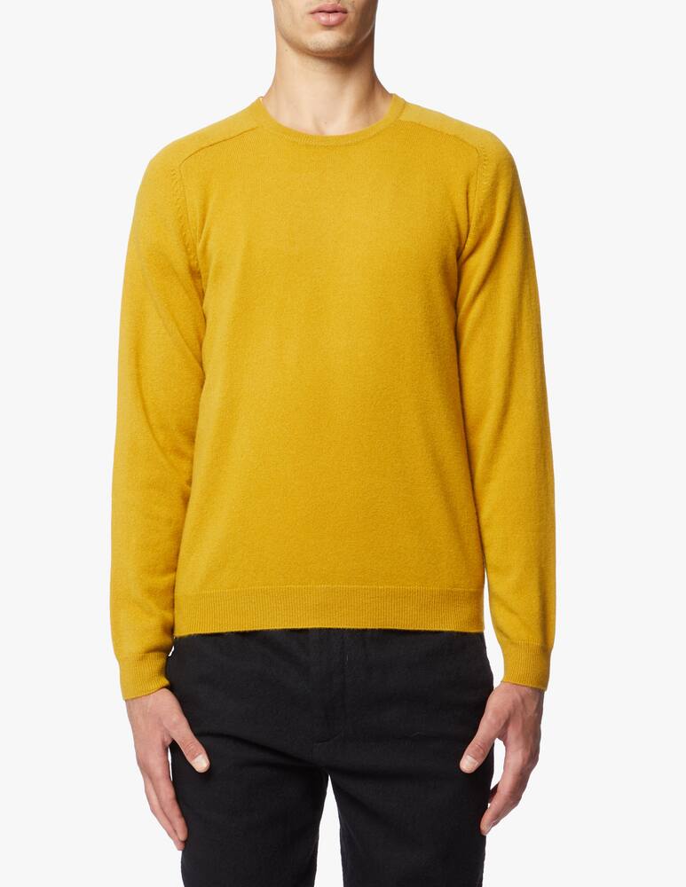 rinascente Pure Cashmere Roundneck jumper in cashmere