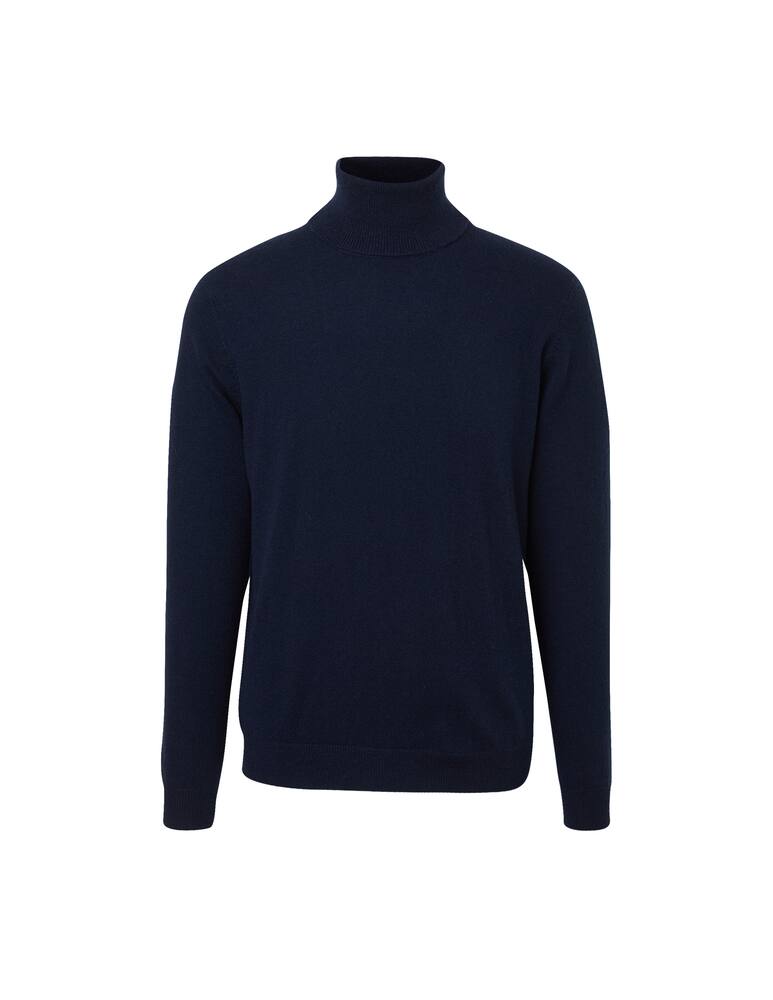 rinascente Pure Cashmere Turtleneck in cashmere