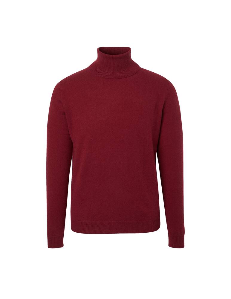 rinascente Pure Cashmere Turtleneck in cashmere