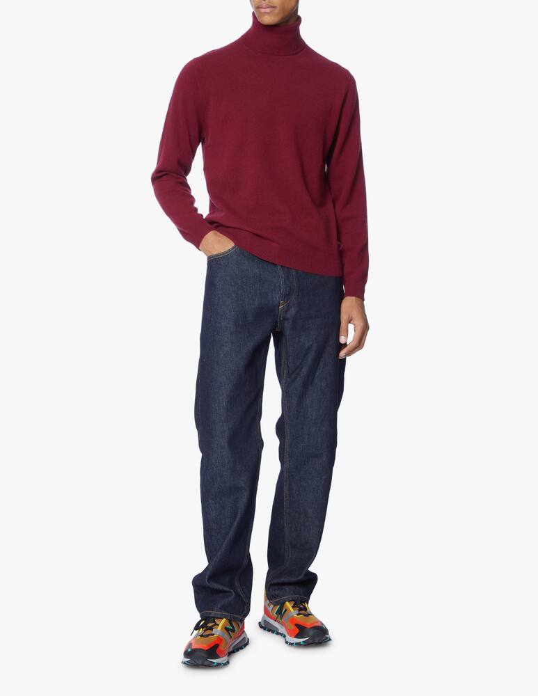 rinascente Pure Cashmere Turtleneck in cashmere