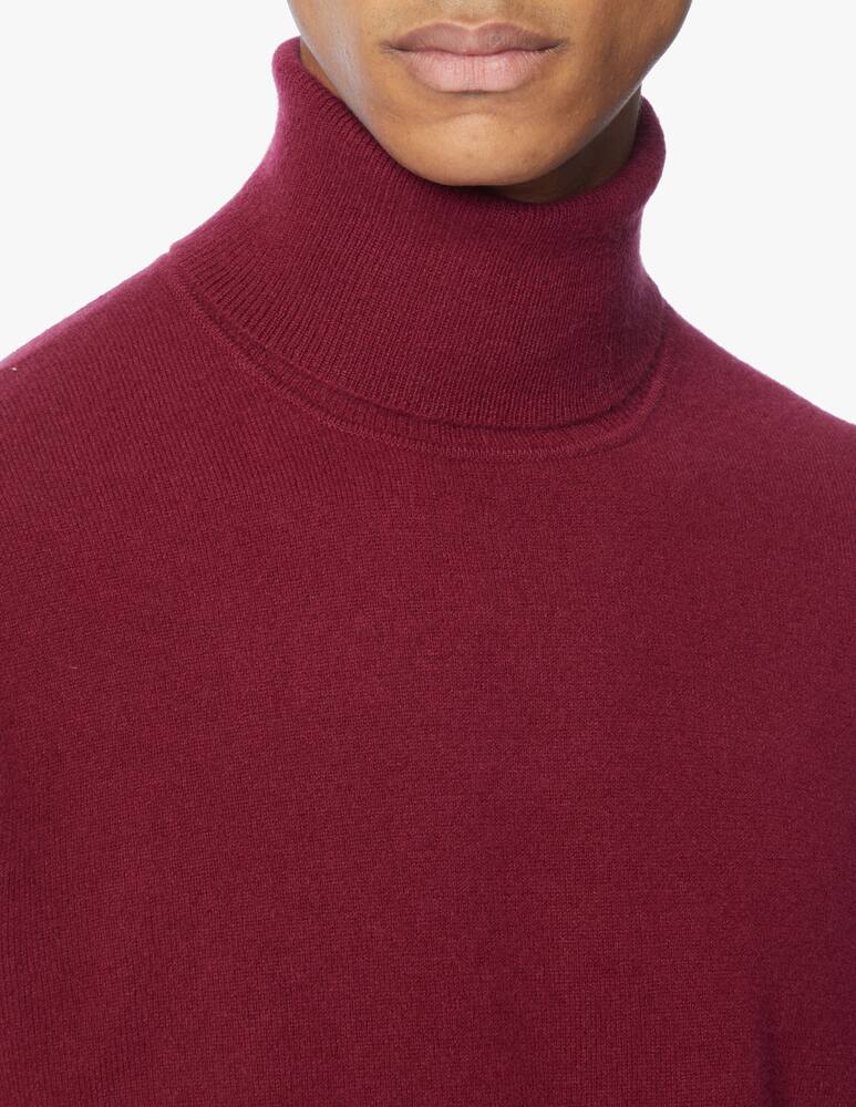 rinascente Pure Cashmere Turtleneck in cashmere