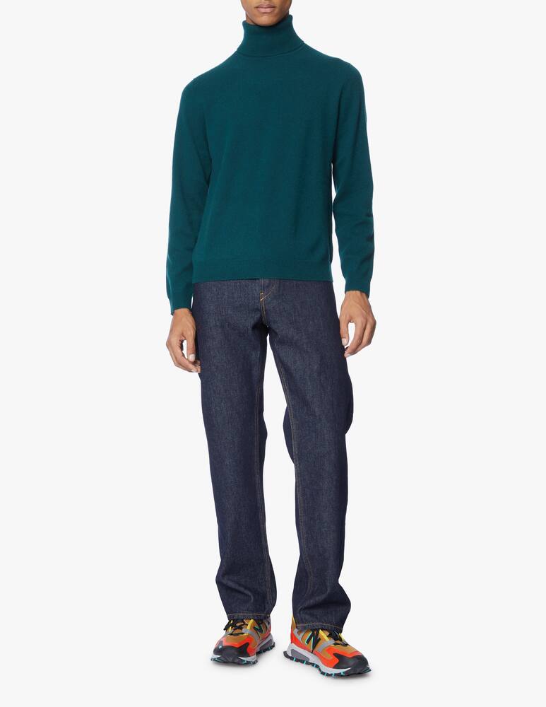 rinascente Pure Cashmere Turtleneck in cashmere