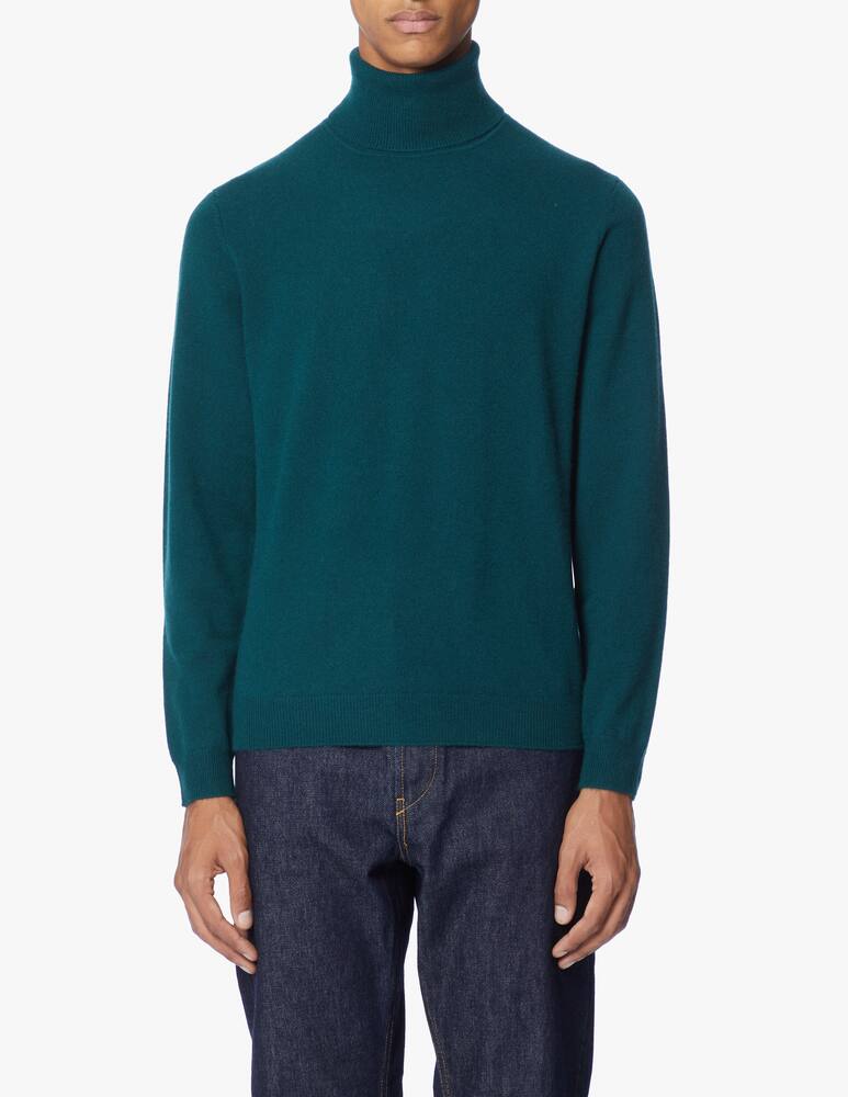 rinascente Pure Cashmere Turtleneck in cashmere