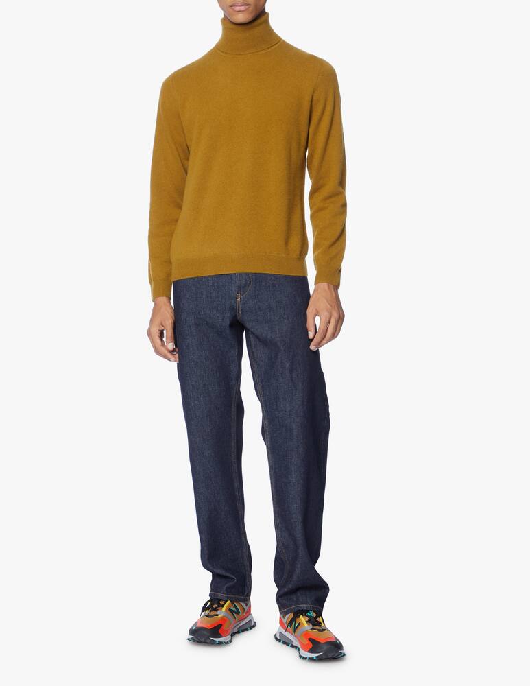 rinascente Pure Cashmere Turtleneck in cashmere