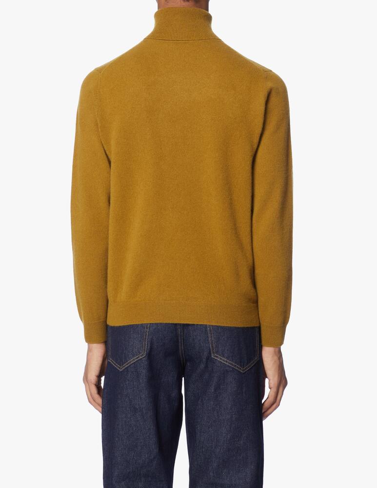 rinascente Pure Cashmere Turtleneck in cashmere