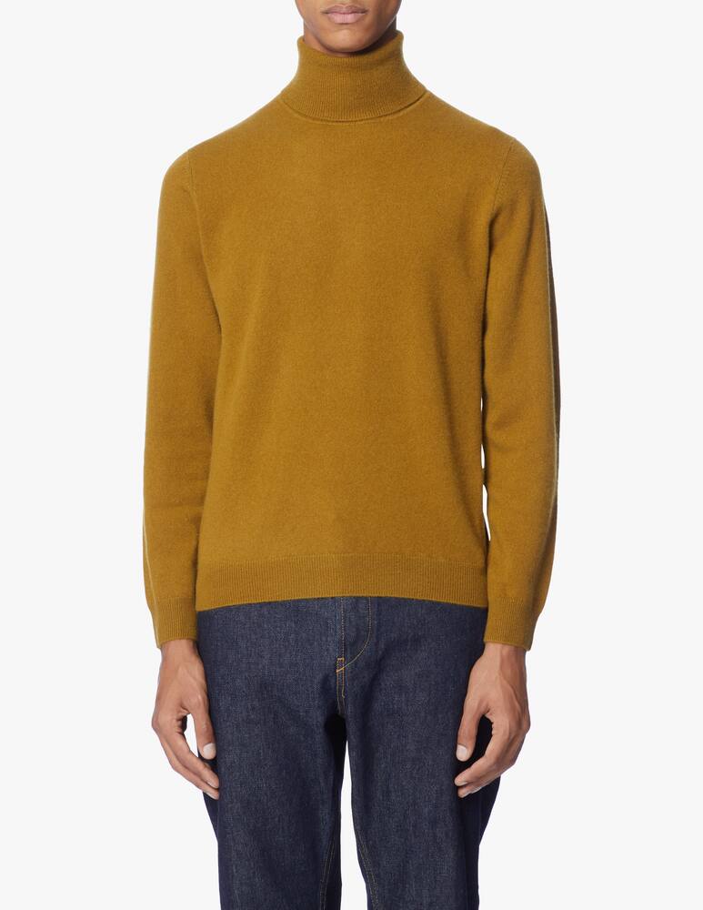 rinascente Pure Cashmere Turtleneck in cashmere