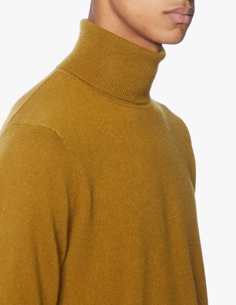 rinascente Pure Cashmere Turtleneck in cashmere