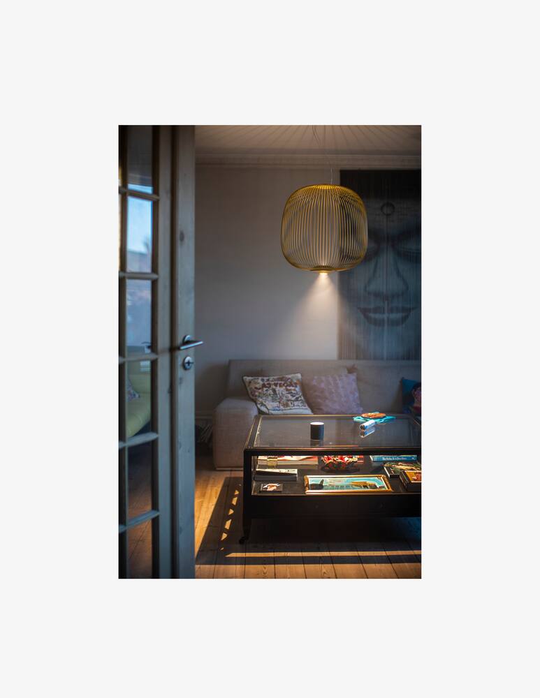 rinascente Foscarini Spokes 2 Midi Sospensione