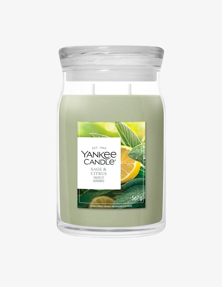 rinascente Yankee Candle Giara Grande Signature Sage & Citrus