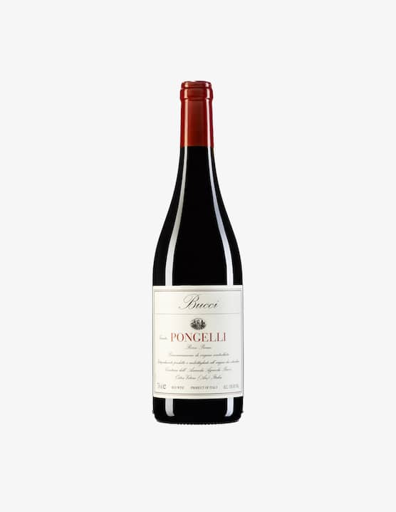 Villa Bucci - Pongelli Doc Rosso Piceno 2023 750ml - €17,00