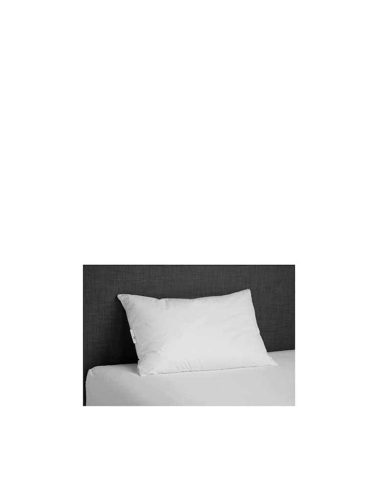 Daunenstep Guanciale piuma Perla Cirmolo 50x80cm - immagine 2 Daunenstep Guanciale piuma Perla Cirmolo 50x80cm - immagine 2