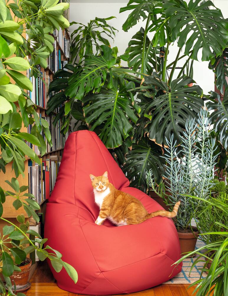 rinascente Zanotta Sacco anatomical easy-chair - Red