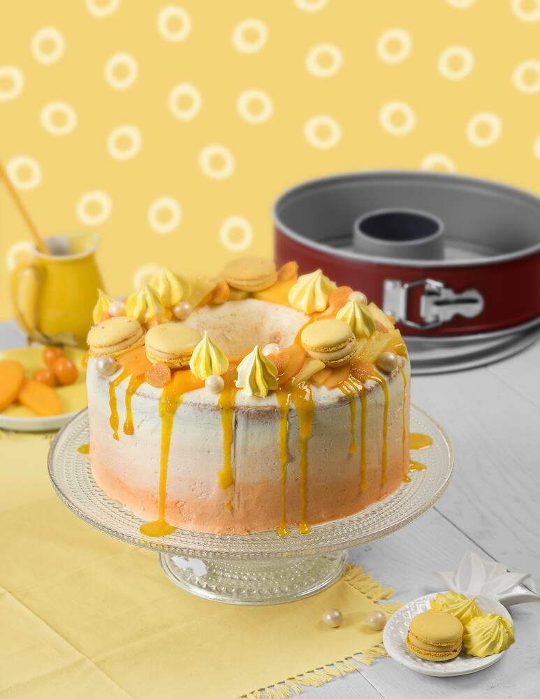 rinascente Kaiser Cake Pan 2 Bottoms 26Cm