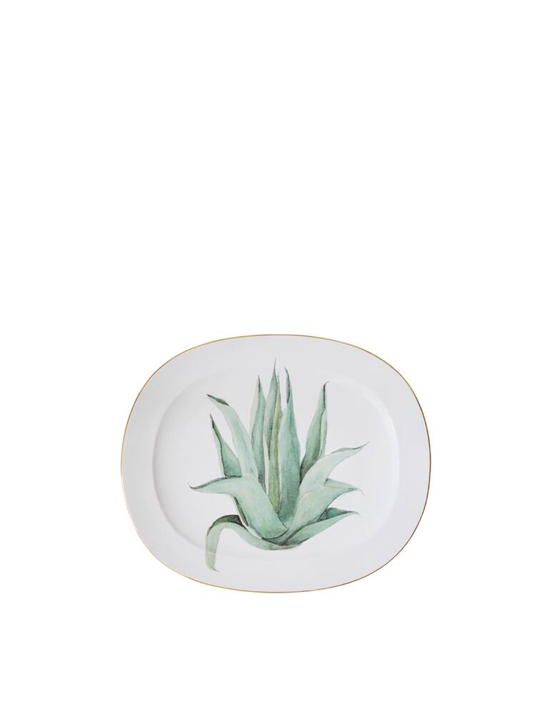 rinascente B.F.A. Sicily - L'agave di Agrigento -  plate
