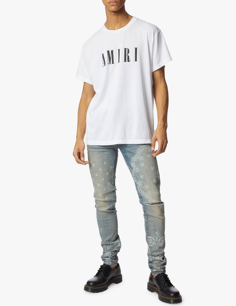 rinascente Amiri T-shirt core logo