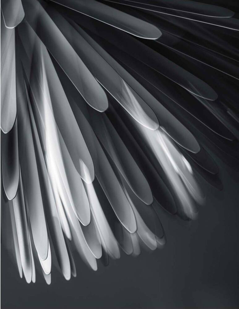 rinascente Foscarini Sun – Light of Love Suspension lamp