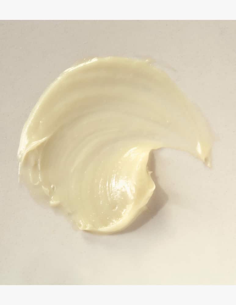 rinascente alkemy Purifying Face Cream