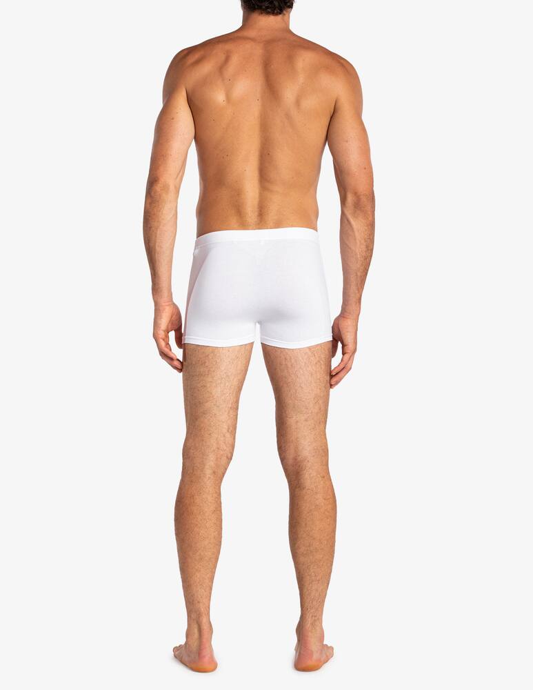 rinascente Julipet Imola boxer