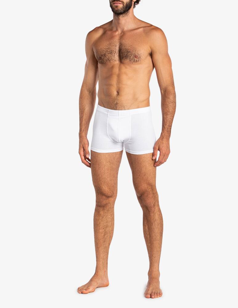 rinascente Julipet Imola boxer