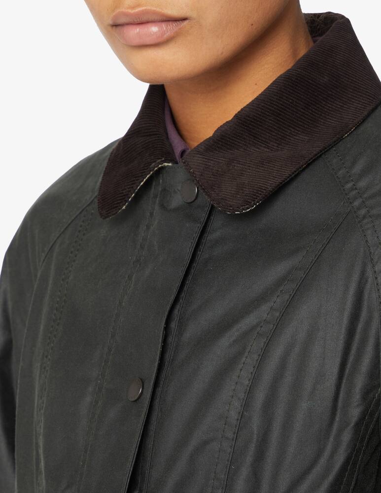 rinascente Barbour Cotton wax jacket - Olive