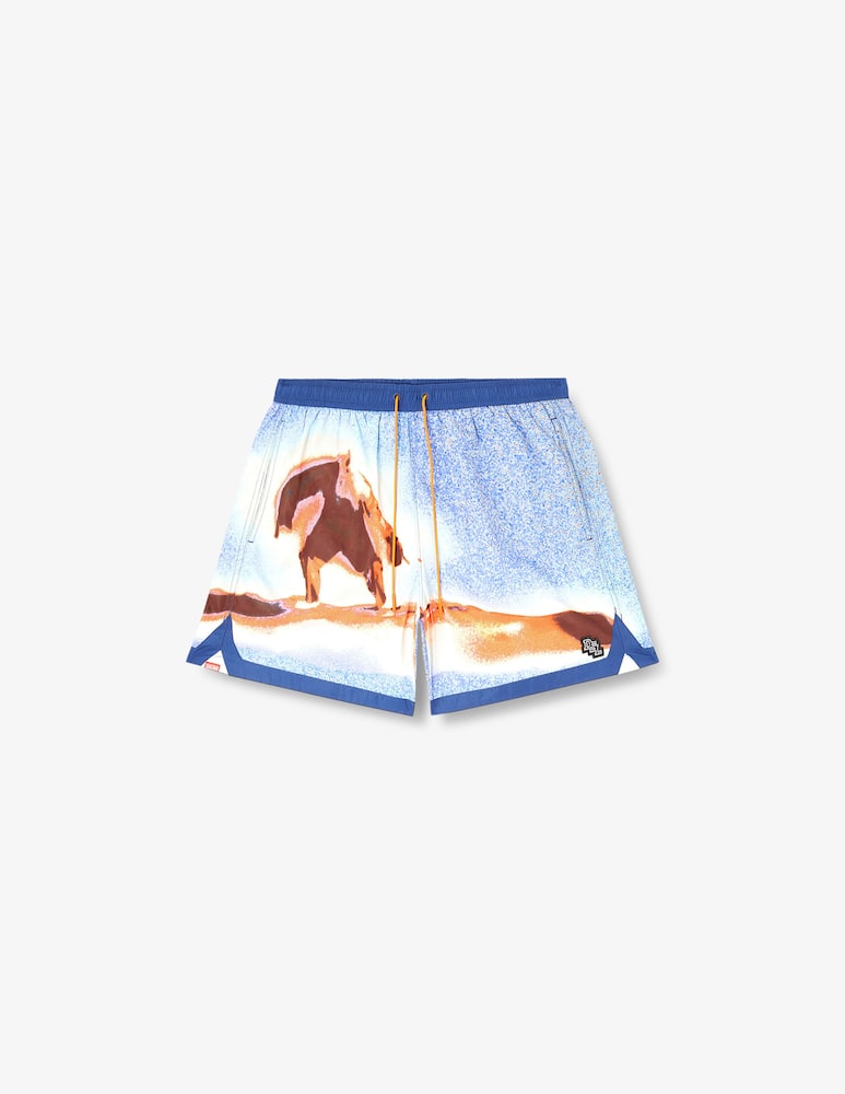 rinascente Diesel Desert scene boxer