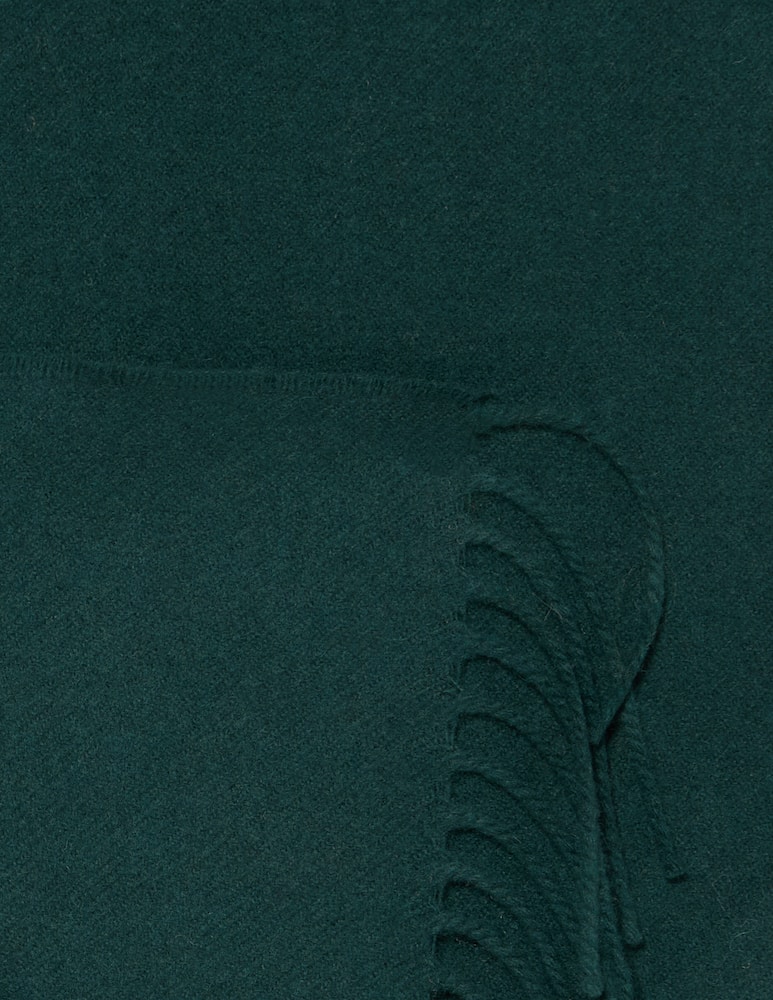 rinascente Gant Plain wool scarf