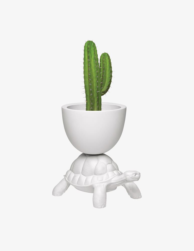 Qeeboo Portavaso Turtle - immagine 1 Qeeboo Portavaso Turtle - immagine 1