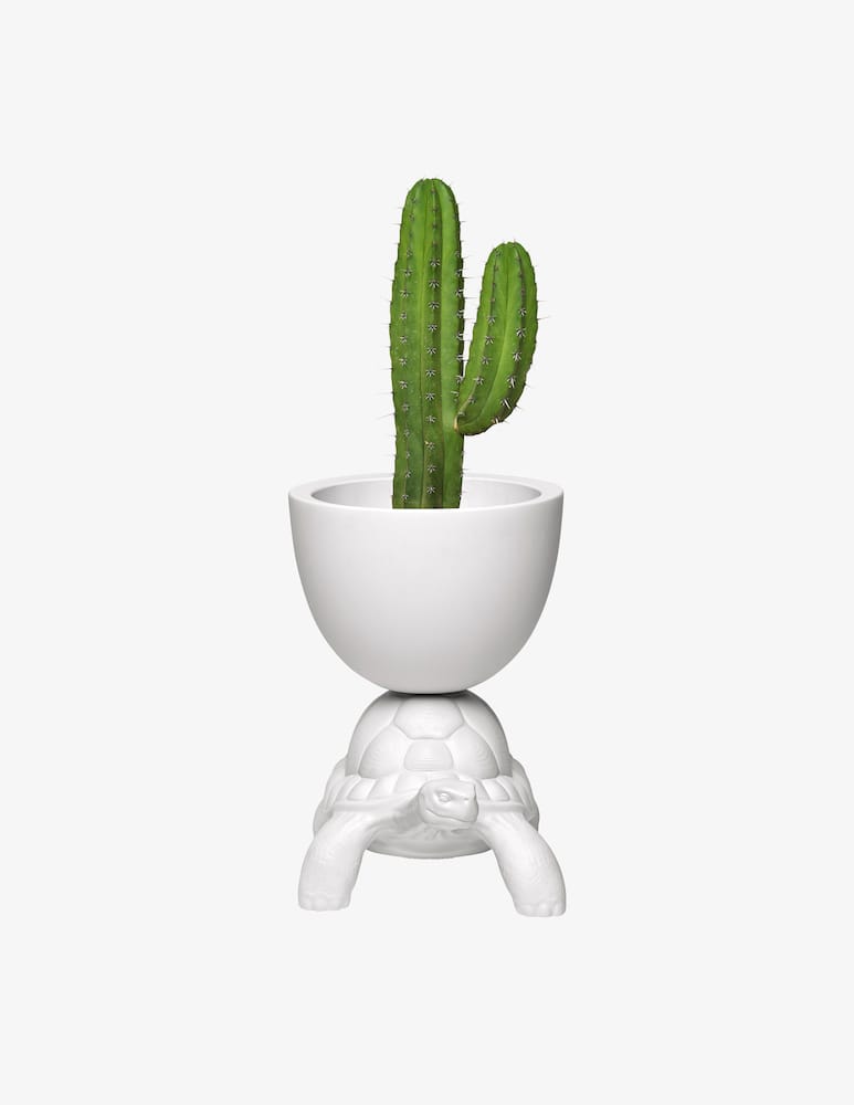 Qeeboo Portavaso Turtle - immagine 2 Qeeboo Portavaso Turtle - immagine 2