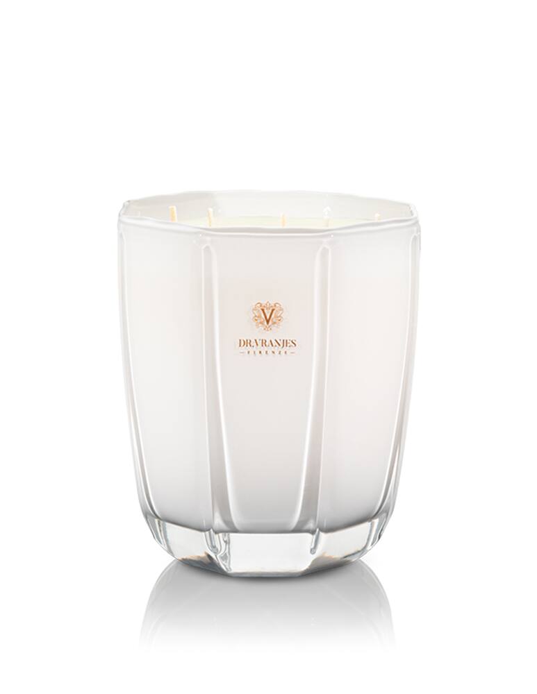 Dr Vranjes Candela d'arredo Perla - Ginger Lime - immagine 1 Dr Vranjes Candela d'arredo Perla - Ginger Lime - immagine 1