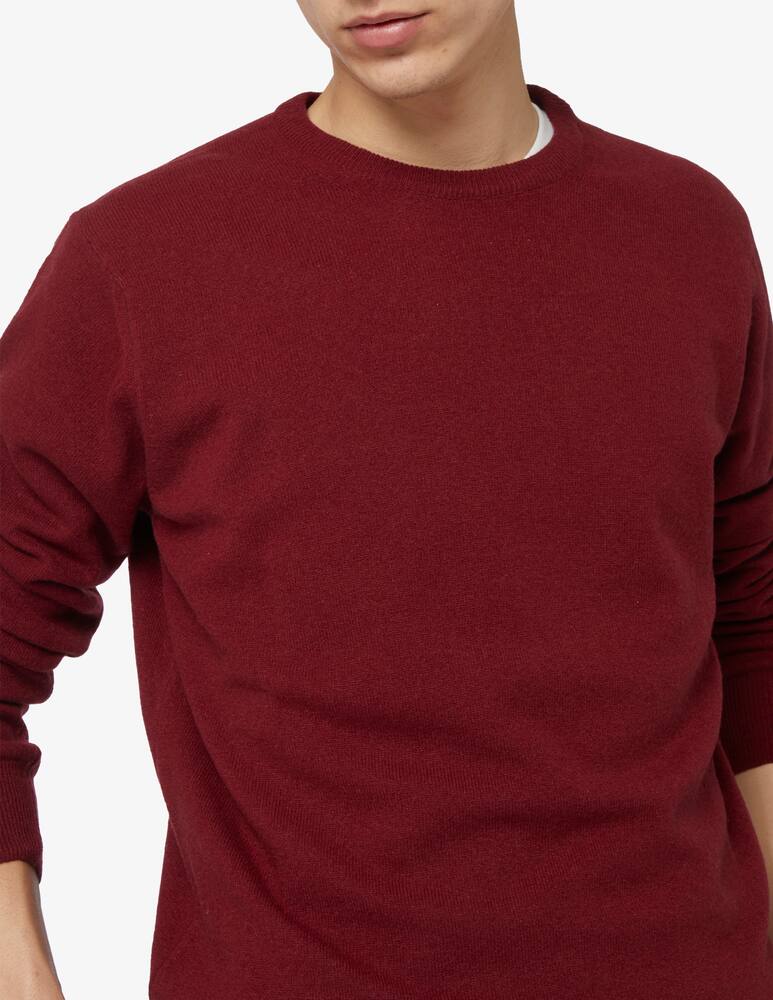 rinascente Rinascente Collection F12 wool crewneck jumper