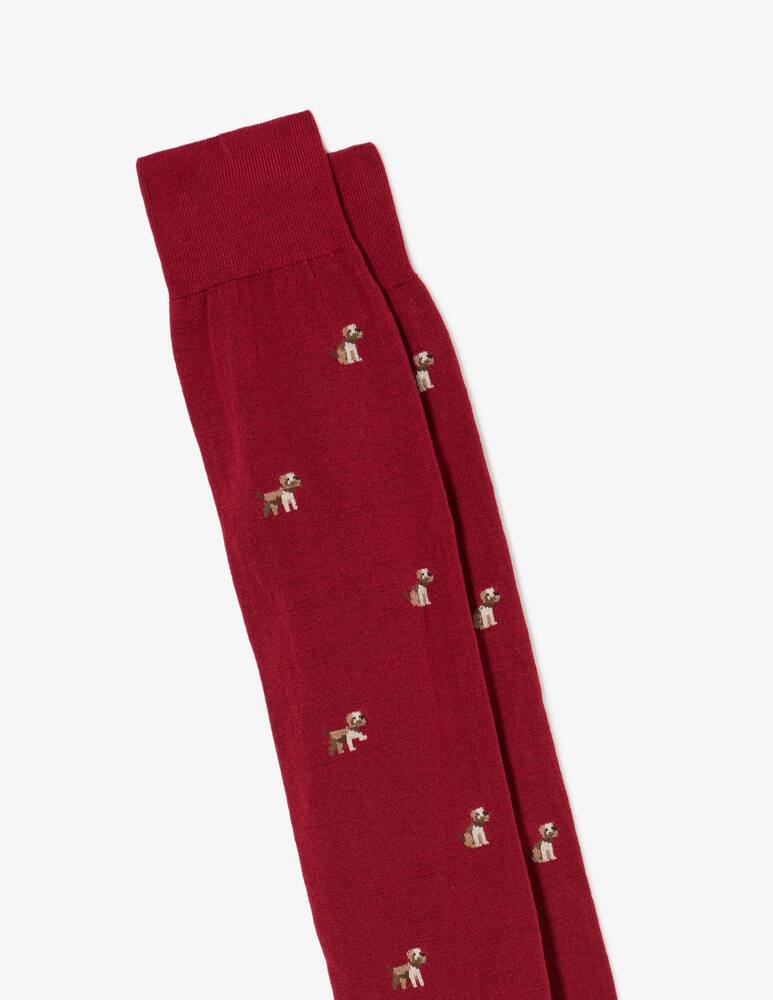 rinascente Sorley Calze lunghe schnauzer