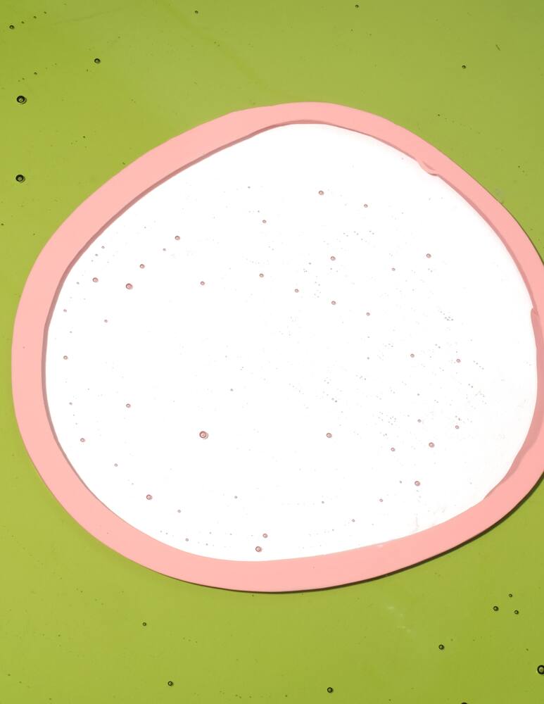 rinascente Fish Design Try Vassoio Rettangolare