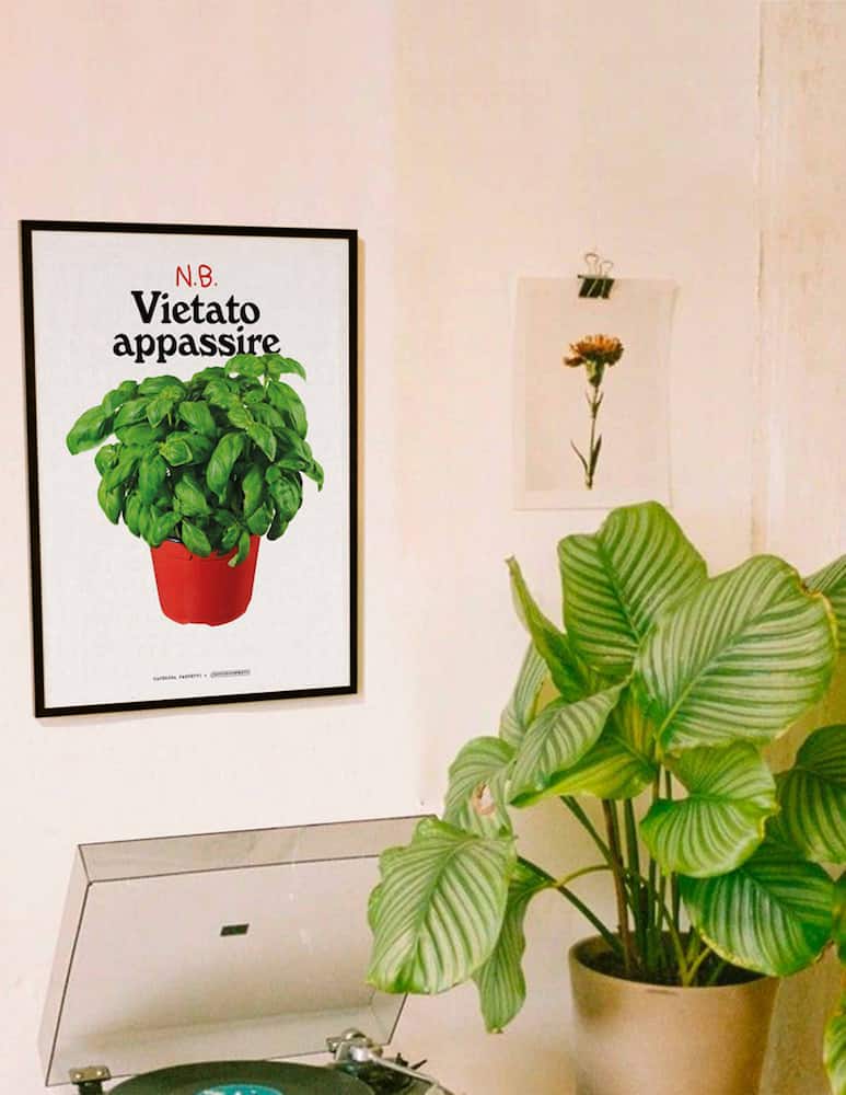 Santomanifesto Vietato Appassire Poster with Frame - picture 1 Santomanifesto Vietato Appassire Poster with Frame - picture 1