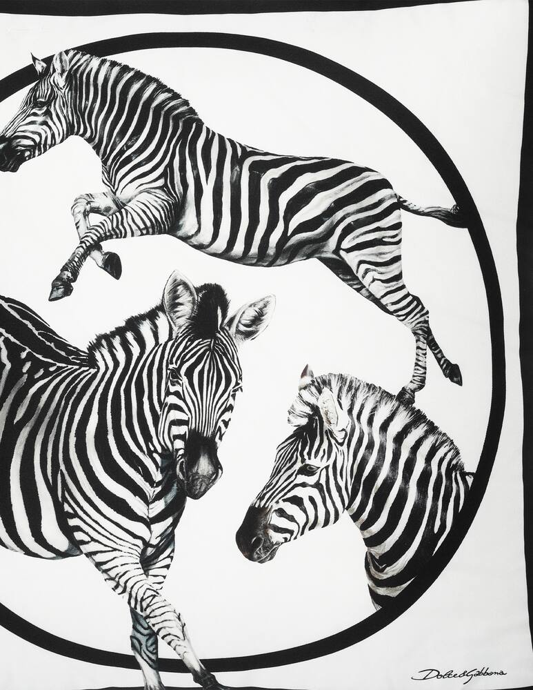 rinascente Dolce & Gabbana Cuscino in Seta medio - Multicolor