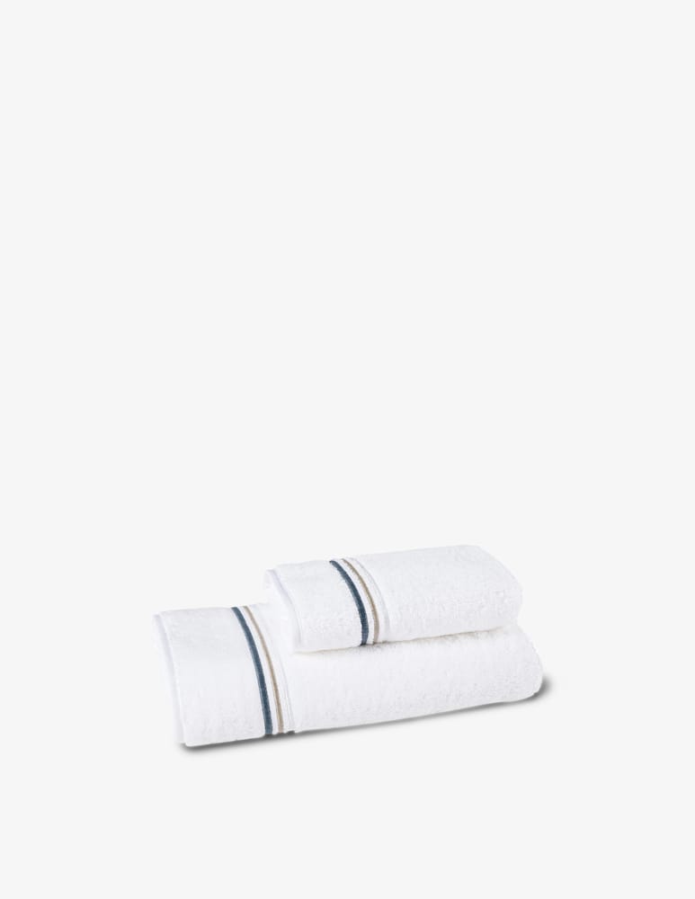 Rivolta Carmignani Set spugna Icon - immagine 1
